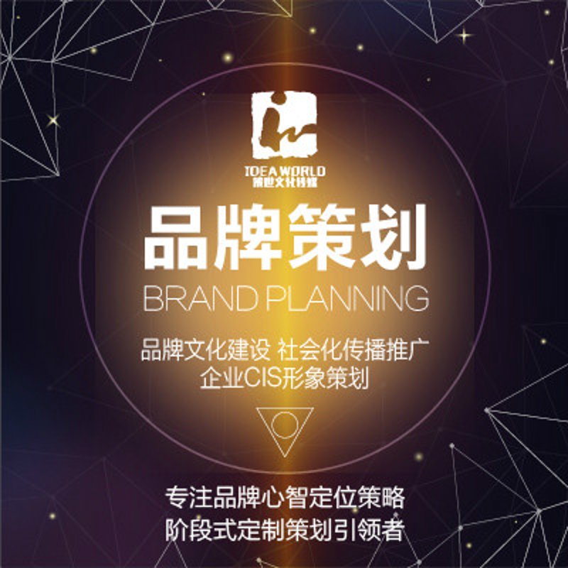 品牌策划之艺术与策略